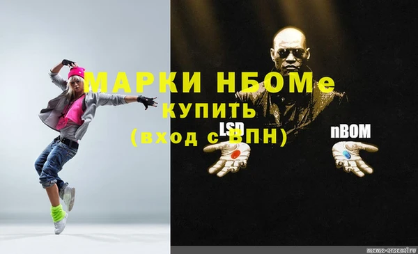 бошки Алексин