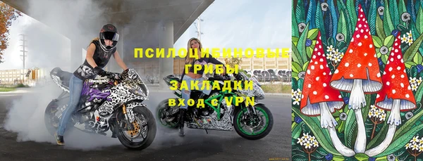 бошки Алексин